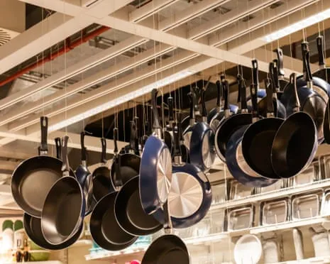 Non-Stick Eating, Garlic Milk and Zebra Cows Shine at 2025 Ig Nobel Honors