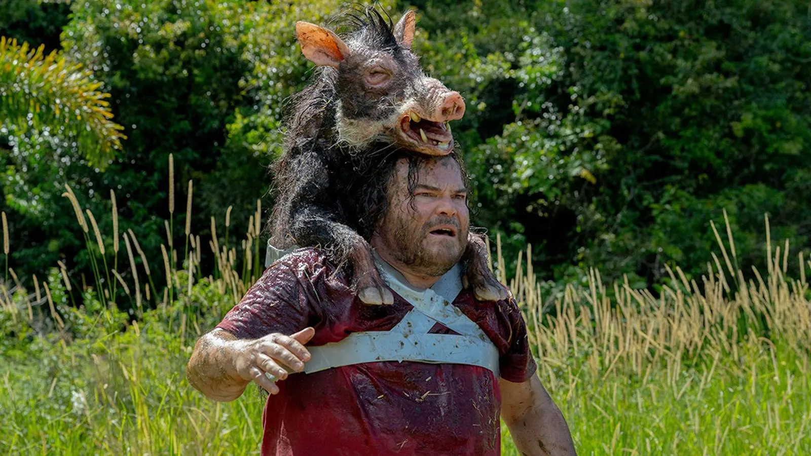 The Studio's Giant Snake Film Revival Is a Really Good Concept