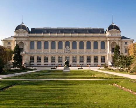 Priceless Golden Pieces Stolen in Audacious Robbery at France's National Institution